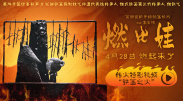 成人精品在线